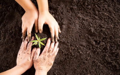 Día de la Tierra: 4 Acciones concretas para transformar la sostenibilidad de tu operación industrial