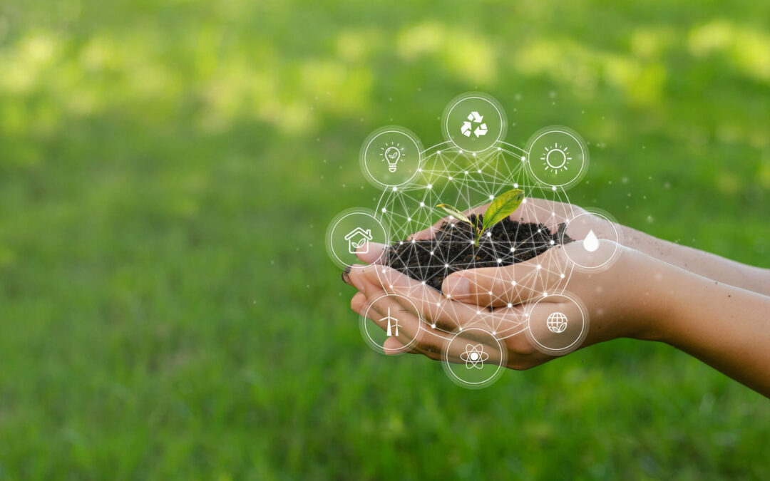 El análisis real del ciclo de vida y la huella ambiental de un jabón